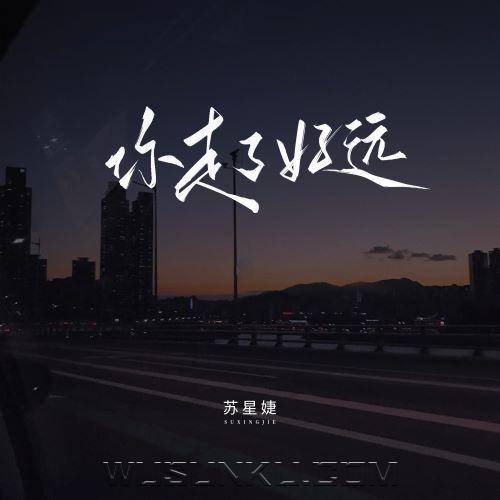 苏星婕《你走了好远》[无损flac|320K高品质MP3]网盘下载