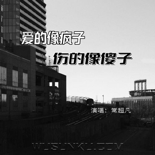 常超凡《爱的像疯子伤的像傻子》[无损flac|320K高品质MP3]网盘下载
