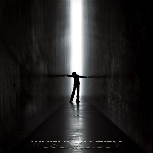 刘雨昕《Walls》[无损flac|320K高品质MP3]网盘下载