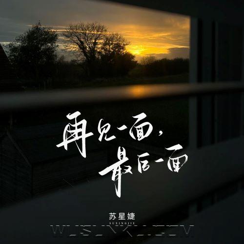 苏星婕《再见一面，最后一面》[无损flac|320K高品质MP3]网盘下载