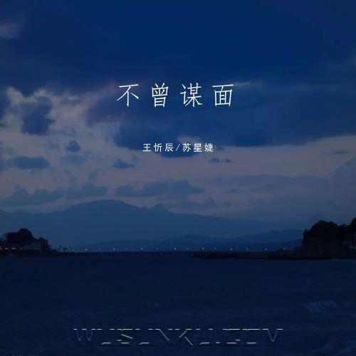 王忻辰、苏星婕《不曾谋面》[无损flac|320K高品质MP3]网盘下载