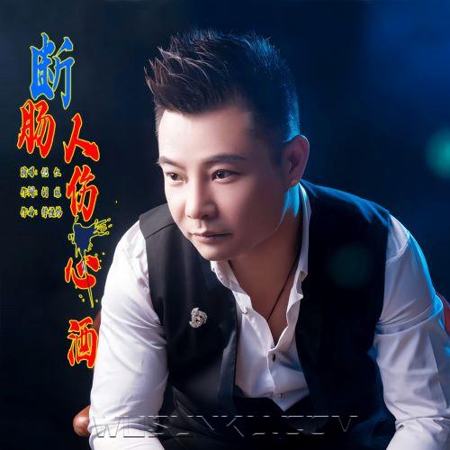 倪红《断肠人伤心酒》[无损flac|320K高品质MP3]网盘下载