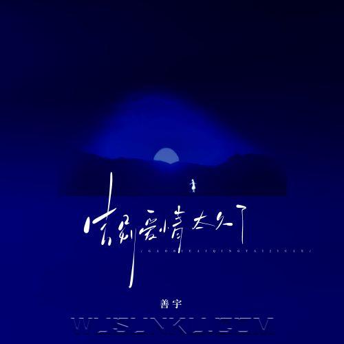 善宇《告别爱情太久了》[无损flac|320K高品质MP3]网盘下载