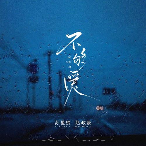 苏星婕、赵政豪《不够爱》[无损flac|320K高品质MP3]网盘下载