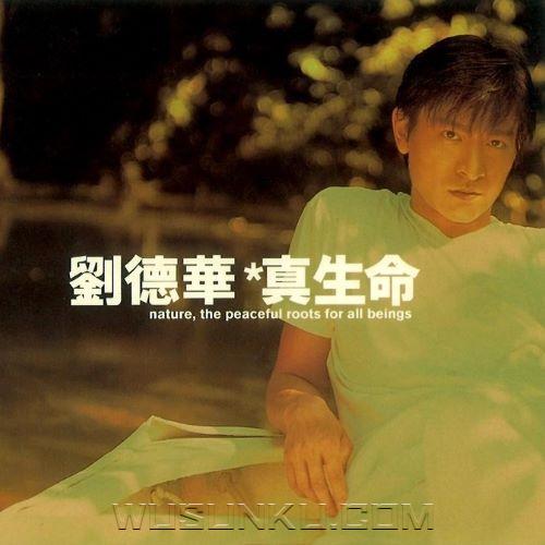 刘德华1997年专辑《真生命》[无损flac|320K高品质MP3]网盘下载