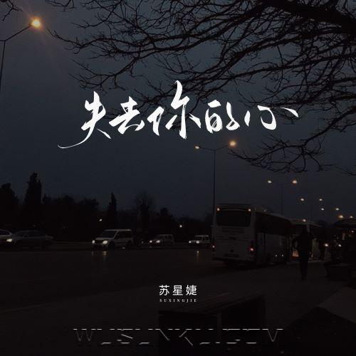 苏星婕《失去你的心》[无损flac|320K高品质MP3]网盘下载