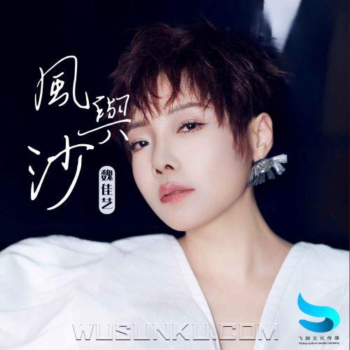 魏佳艺《风与沙》[无损flac|320K高品质MP3]网盘下载
