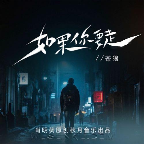 苍狼《如果你要走》[无损flac|320K高品质MP3]网盘下载