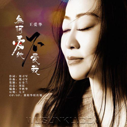 王爱华《为何爱她不爱我》[无损flac|320K高品质MP3]网盘下载