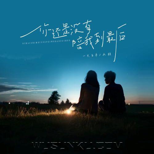 一只白羊、承桓《你还是没有陪我到最后》[无损flac|320K高品质MP3]网盘下载