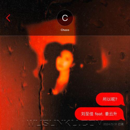 刘至佳、姜云升《所以呢》[无损flac|320K高品质MP3]网盘下载