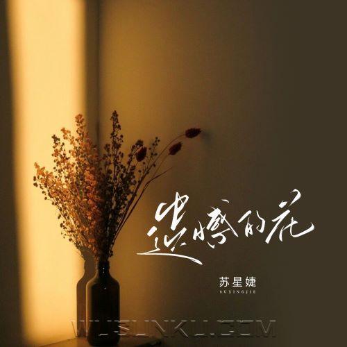 苏星婕《遗憾的花》[无损flac|320K高品质MP3]网盘下载