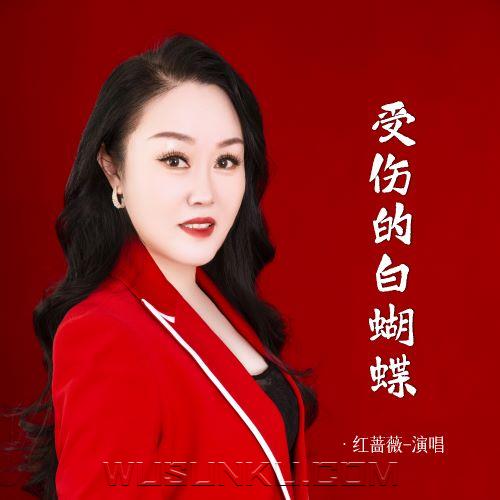 红蔷薇《受伤的白蝴蝶》[无损flac|320K高品质MP3]网盘下载