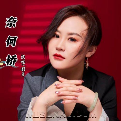 影子《奈何桥》[无损flac|320K高品质MP3]网盘下载