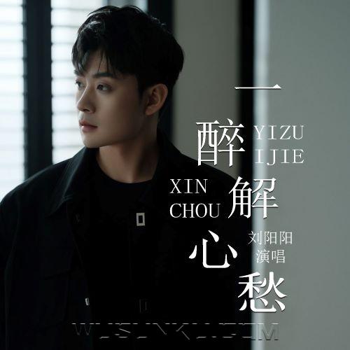 刘阳阳《一醉解心愁》[无损flac|320K高品质MP3]网盘下载