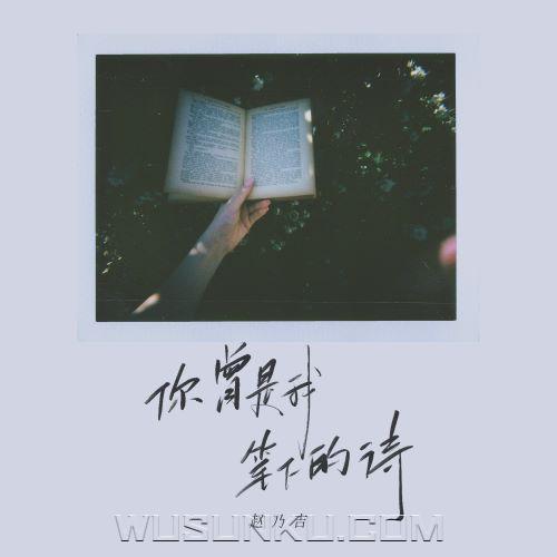 赵乃吉《你曾是我笔下的诗》[无损flac|320K高品质MP3]网盘下载