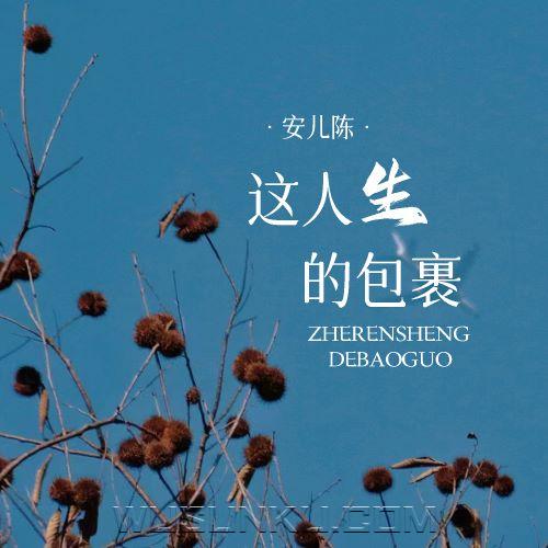 安儿陈《这人生的包裹》[无损flac|320K高品质MP3]网盘下载