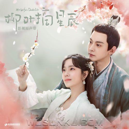 《柳叶摘星辰》影视原声带[无损flac|320K高品质MP3]网盘下载