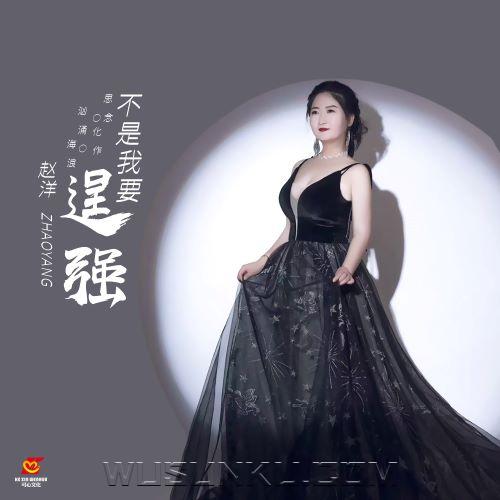赵洋《不是我要逞强》[无损flac|320K高品质MP3]网盘下载