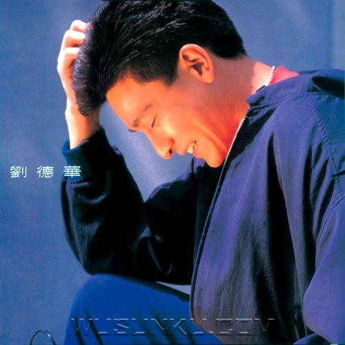 刘德华2004年专辑《共你伤心过》[无损flac|320K高品质MP3]网盘下载