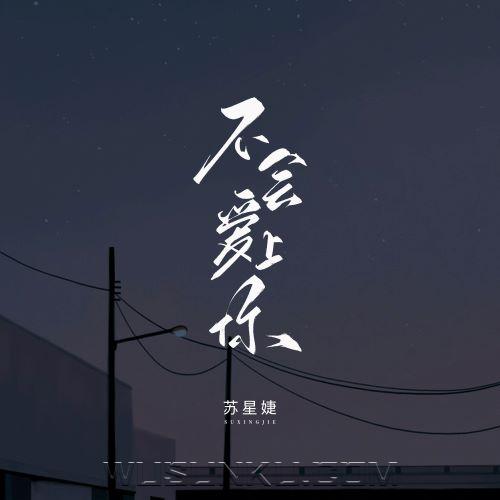 苏星婕《不会爱上你》[无损flac|320K高品质MP3]网盘下载
