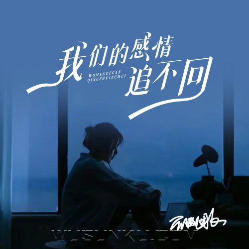 蔷薇团长《我们的感情追不回》[无损flac|320K高品质MP3]网盘下载
