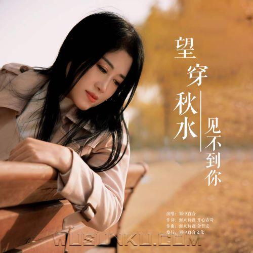 雨中百合《望穿秋水见不到你》[无损flac|320K高品质MP3]网盘下载
