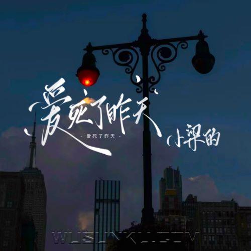 小梁的《爱死了昨天》[无损flac|320K高品质MP3]网盘下载