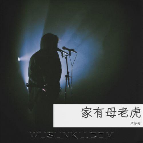 六仔哥《家有母老虎》[无损flac|320K高品质MP3]网盘下载