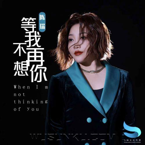陈瑞《等我不再想你》[无损flac|320K高品质MP3]网盘下载