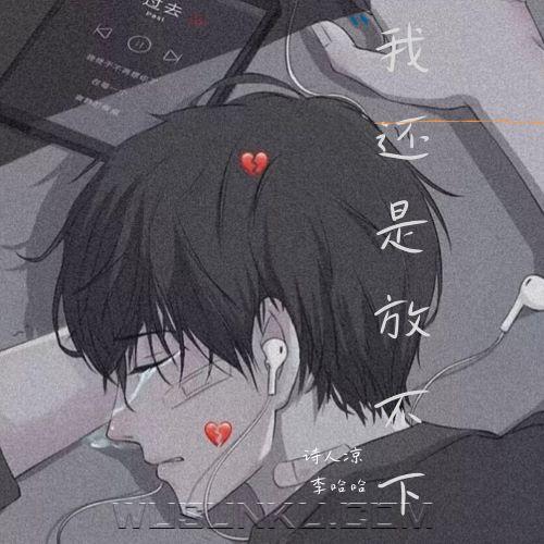 李哈哈、诗人凉《我还是放不下》[无损flac|320K高品质MP3]网盘下载