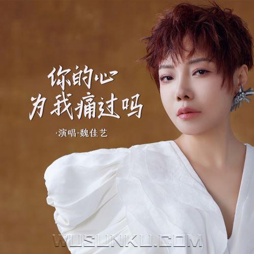 魏佳艺《你的心为我痛过吗》[无损flac|320K高品质MP3]网盘下载