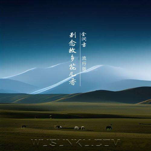 金润吉《别念故乡花儿香(流行版)》[无损flac|320K高品质MP3]网盘下载