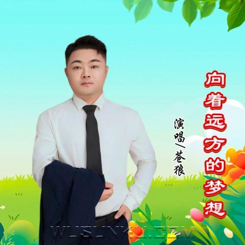 苍狼《向着远方的梦想》[无损flac|320K高品质MP3]网盘下载