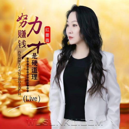 红蔷薇《努力赚钱才是硬道理（live合唱版）》[无损flac|320K高品质MP3]网盘下载