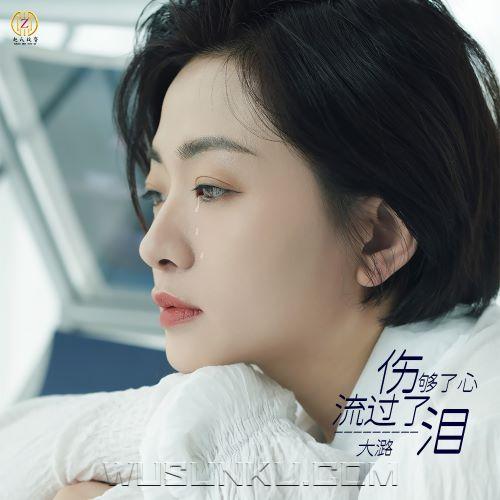 大潞《伤够了心流过了泪》[无损flac|320K高品质MP3]网盘下载