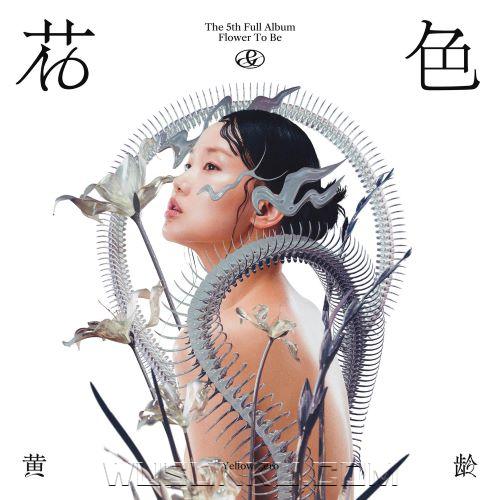黄龄2023年专辑《花&amp;色》[无损flac|320K高品质MP3]网盘下载