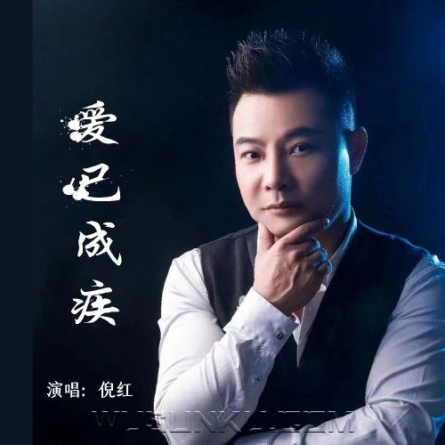 倪红《爱已成疾》[无损flac|320K高品质MP3]网盘下载