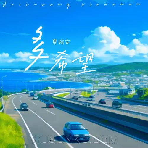 夏婉安《多希望》[无损flac|320K高品质MP3]网盘下载