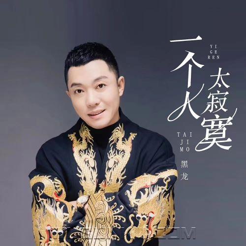 黑龙《一个人太寂寞(1.3x加速版)》[无损flac|320K高品质MP3]网盘下载