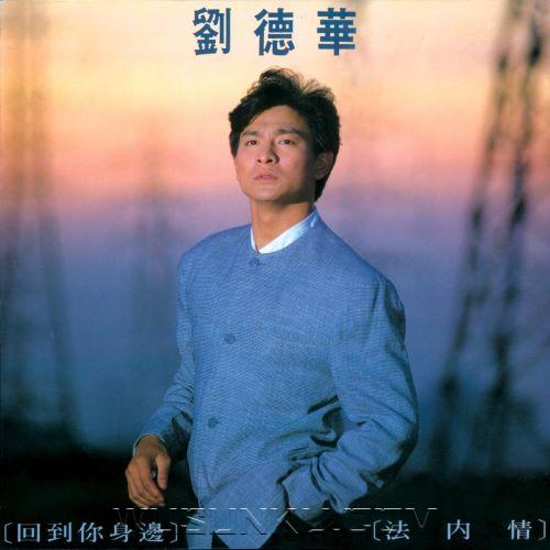 刘德华1989年专辑《回到你身边·法内情》[无损flac|320K高品质MP3]网盘下载
