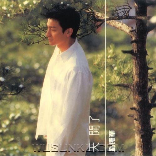 刘德华2001年专辑《天开了》[无损flac|320K高品质MP3]网盘下载