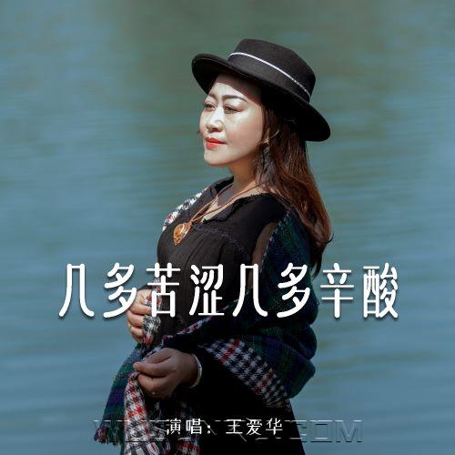 王爱华《几多苦涩几多辛酸》[无损flac|320K高品质MP3]网盘下载