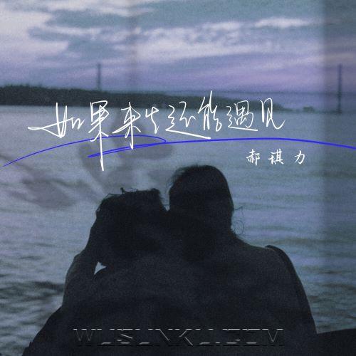 郝琪力《如果来生还能遇见》[无损flac|320K高品质MP3]网盘下载