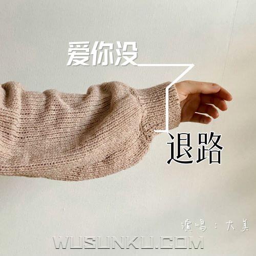 大美《爱你没了退路》[无损flac|320K高品质MP3]网盘下载