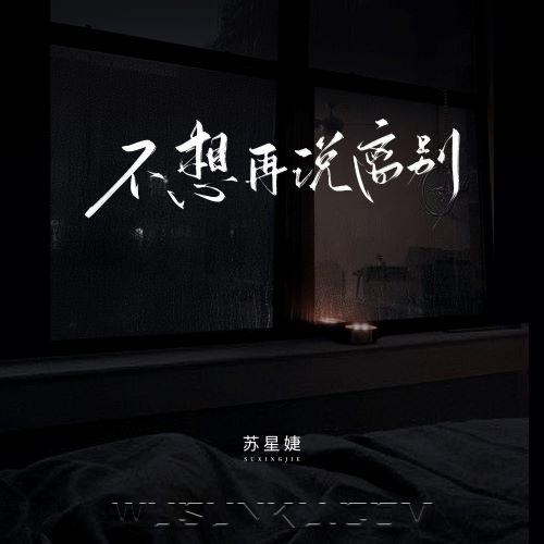 苏星婕《不想再说离别》[无损flac|320K高品质MP3]网盘下载