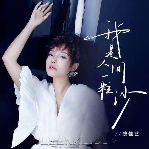 魏佳艺《我是人间一粒沙》[无损flac|320K高品质MP3]网盘下载