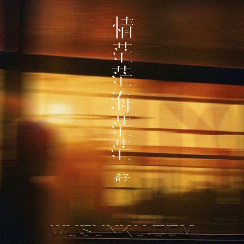 香子《情茫茫海茫茫(DJ版)》[无损flac|320K高品质MP3]网盘下载