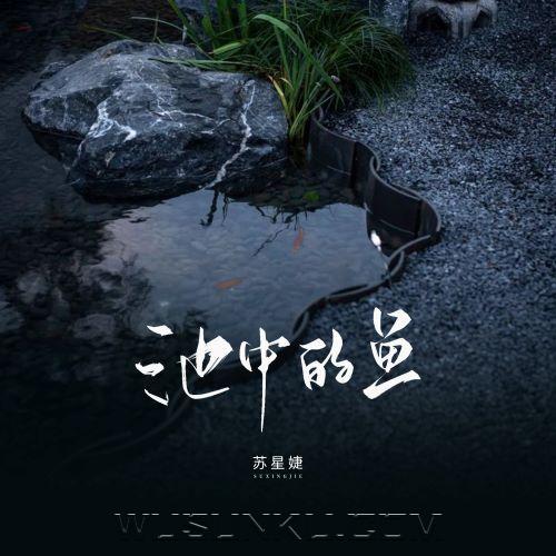 苏星婕《池中的鱼》[无损flac|320K高品质MP3]网盘下载