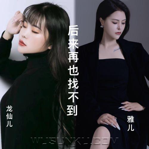 雅儿、龙仙儿《后来再也找不到》[无损flac|320K高品质MP3]网盘下载